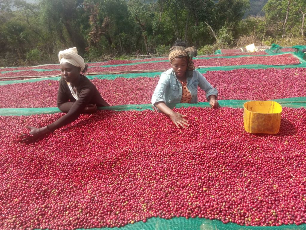 5906893429160394823 – Copy