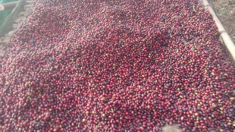 6039360073224013617 – Copy